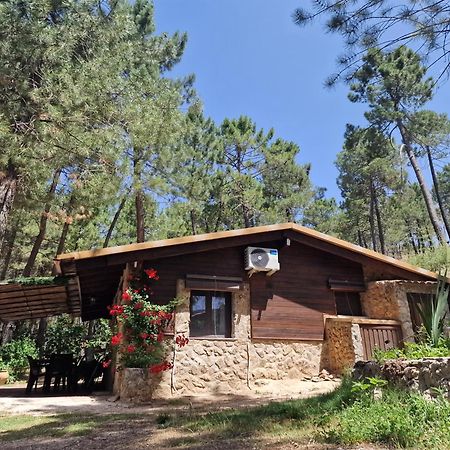 Cabana En Plena Naturaleza Parque Natural Rio Mundo Riópar Eksteriør bilde