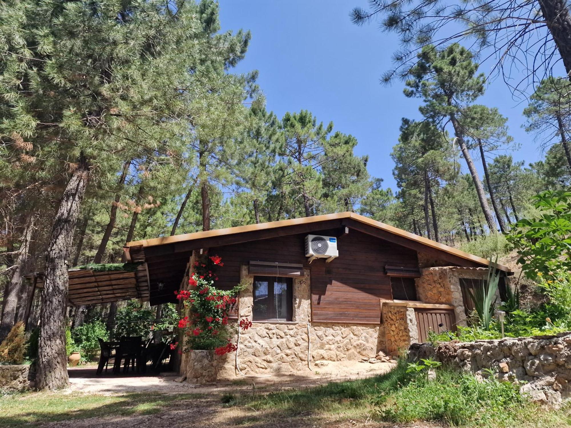 Cabana En Plena Naturaleza Parque Natural Rio Mundo Riópar Eksteriør bilde