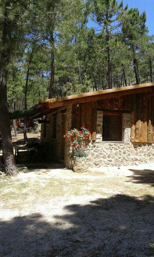Cabana En Plena Naturaleza Parque Natural Rio Mundo Riópar Eksteriør bilde