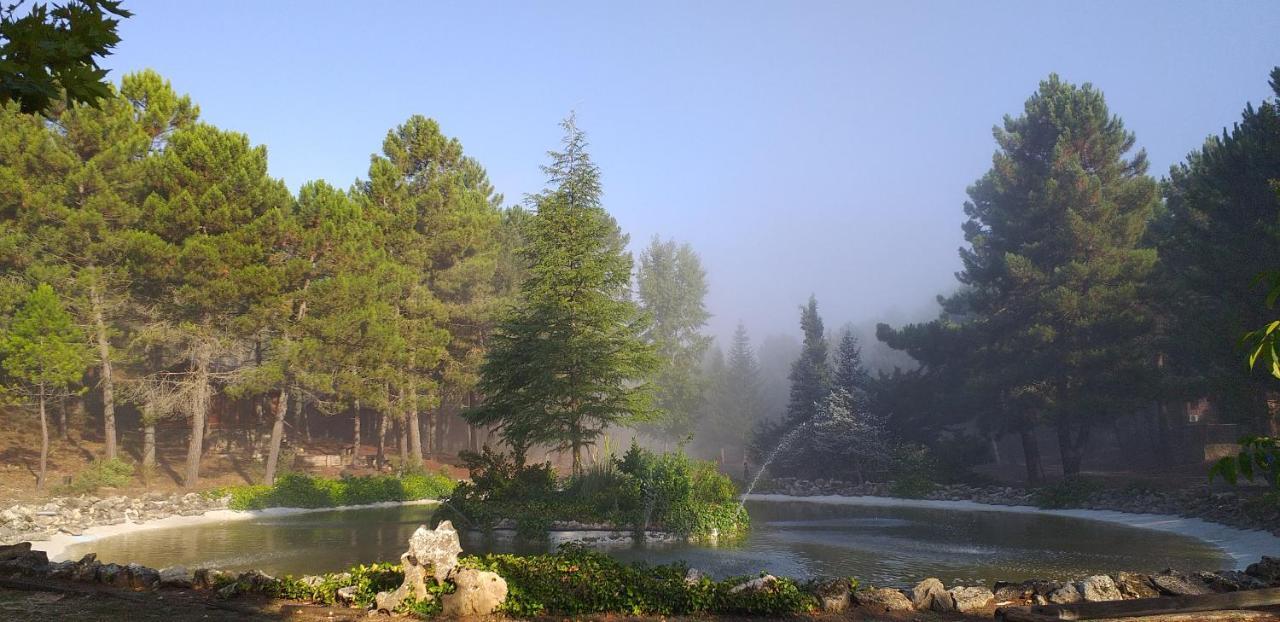 Cabana En Plena Naturaleza Parque Natural Rio Mundo Riópar Eksteriør bilde